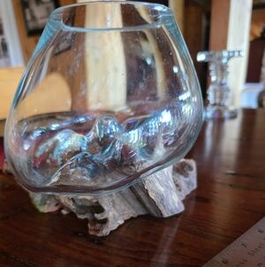 Molten Glass On Driftwwod Terrarium/Planter